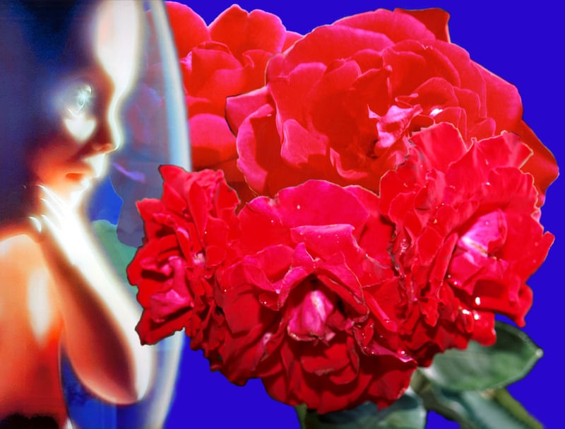 RED ROSES