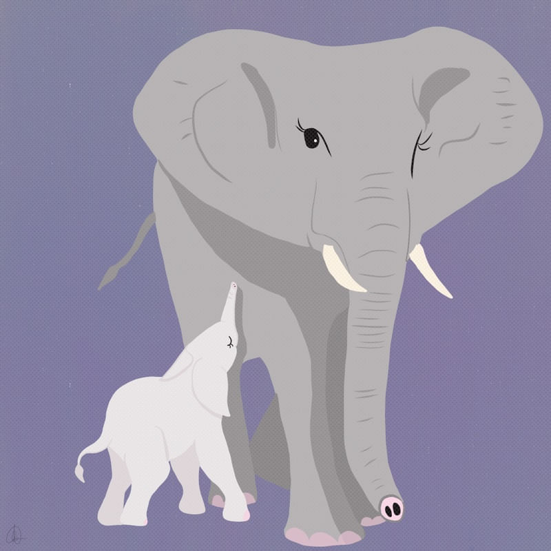 MEU MAMÍFERO FAVORITO - ELEFANTE