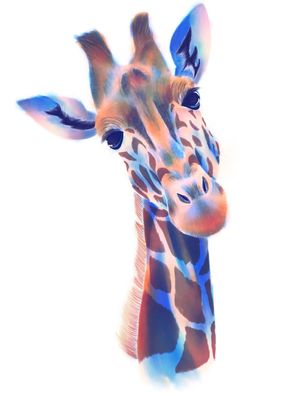GIRAFFE COLOR