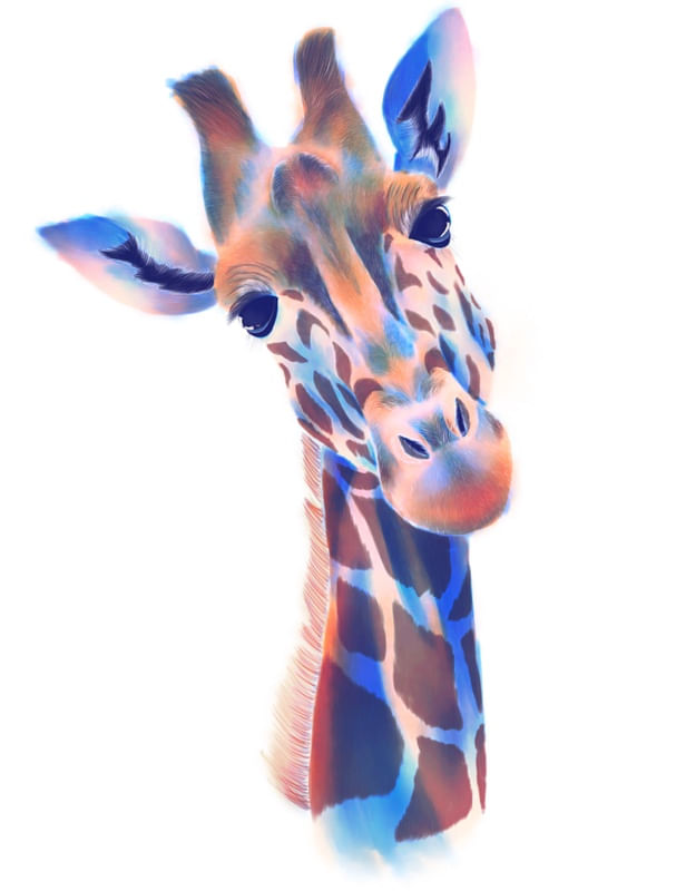 GIRAFFE COLOR