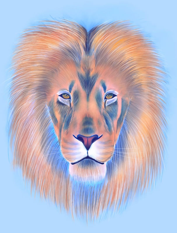 KING COLOR