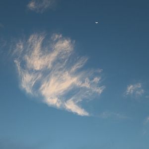 .AR NU