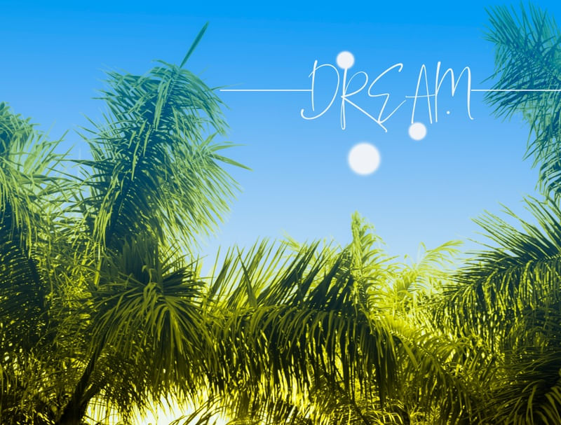 SWEETDREAM
