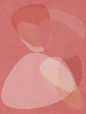 TRANSLUCENT-2