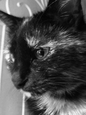 A GATA 02