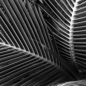 NATUREZA VIVA 01 ARTISTA GLORIA RIMES