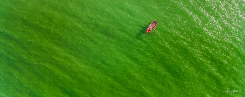 RED BARCO - OLINDA (PE) II