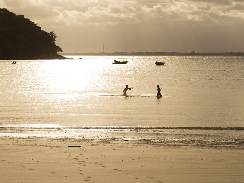 PLAYA II