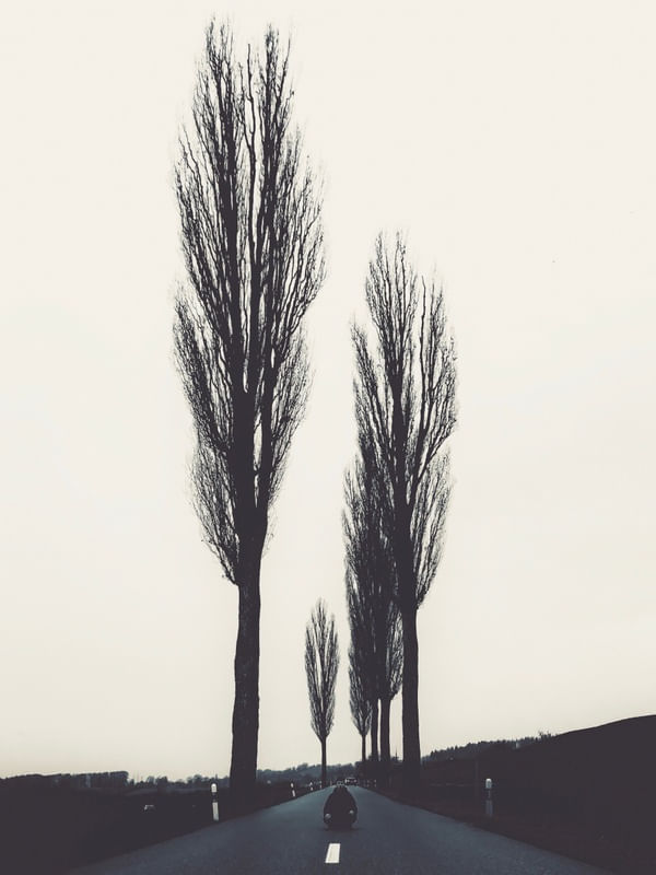 SILENCE #2