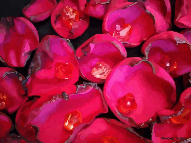 FLORAL VERMELHO FOGO 9