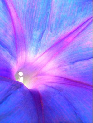 FLOR T