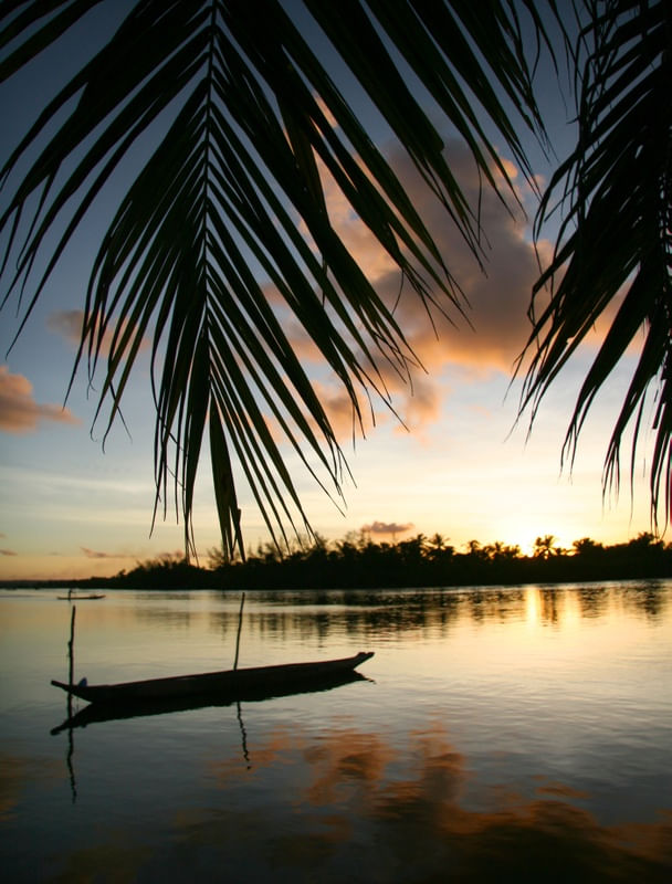LAGOA MANGUABA PP