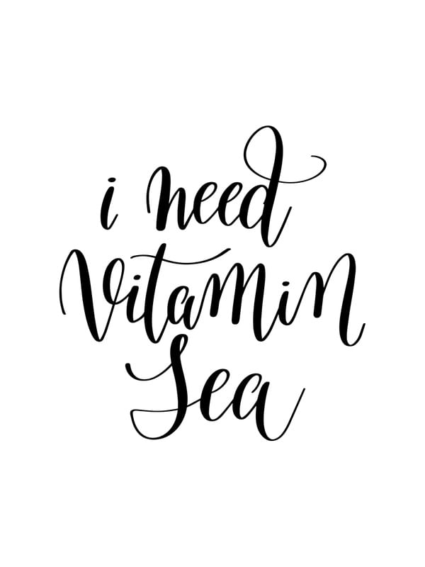 I NEED VITAMIN SEA III