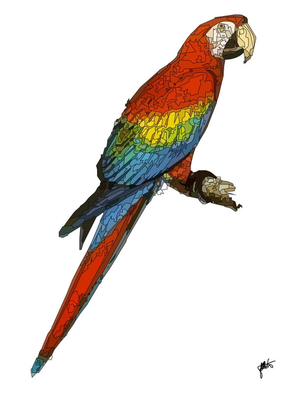 PENAS ARARA VERMELHA