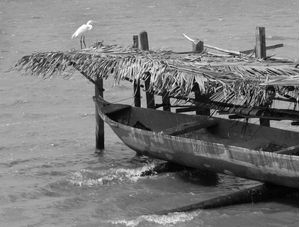 A GARÇA E A CANOA