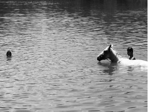 CAVALO NA LAGOA