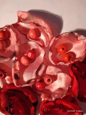 FLORAL VERMELHO ROSADO 2