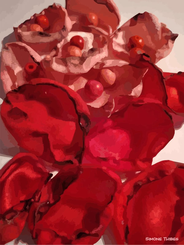 FLORAL VERMELHO ROSADO 3
