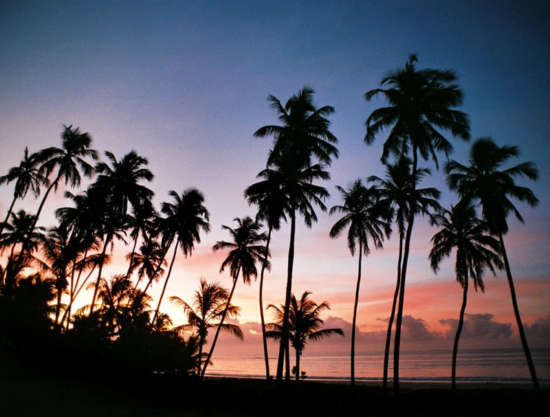 PRAIA DO FRANCÊS AA
