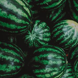 REPEATED WATERMELONS