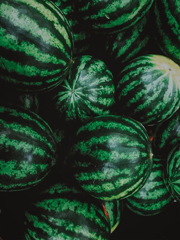 REPEATED WATERMELONS 02