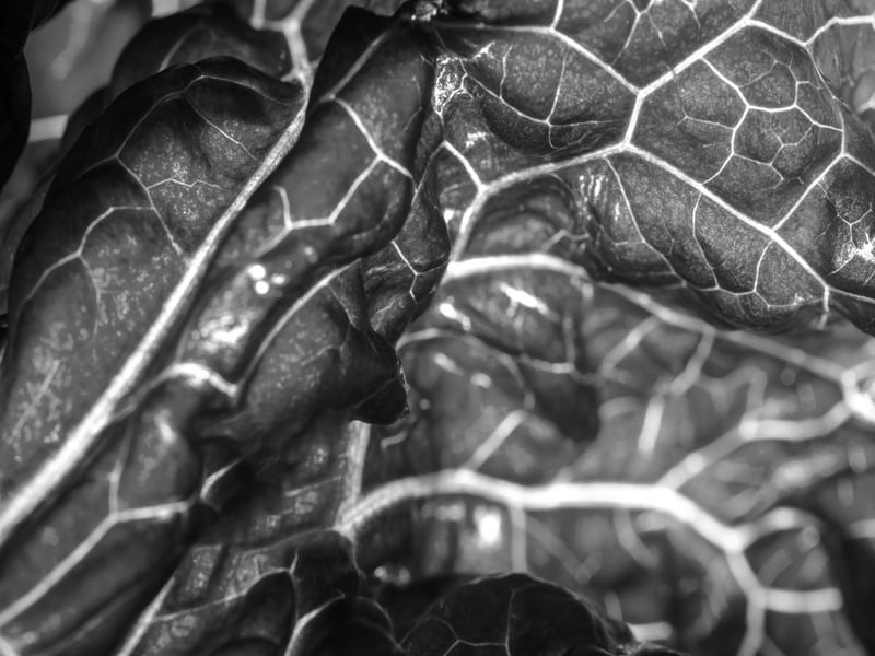 NATUREZA DE PERTO 2