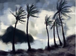PRAIA NUBLADA