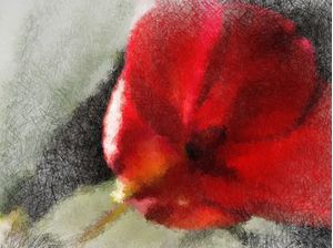 FLOR VERMELHA EM PINCEL