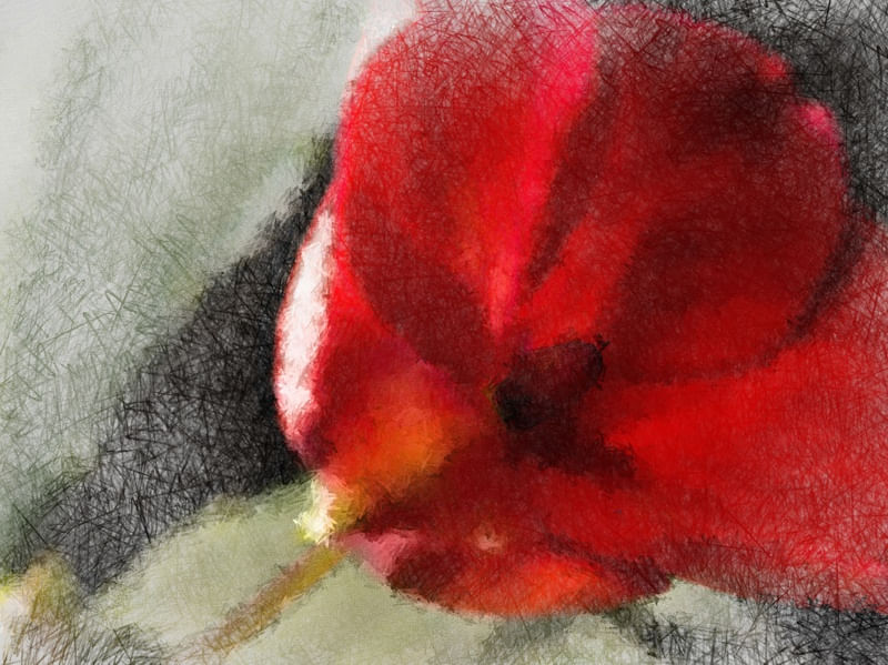 FLOR VERMELHA EM PINCEL