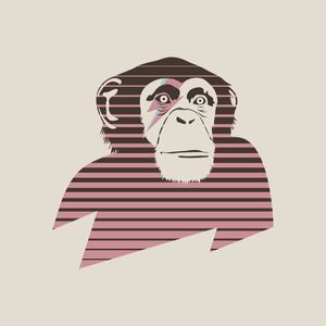 CHIMP
