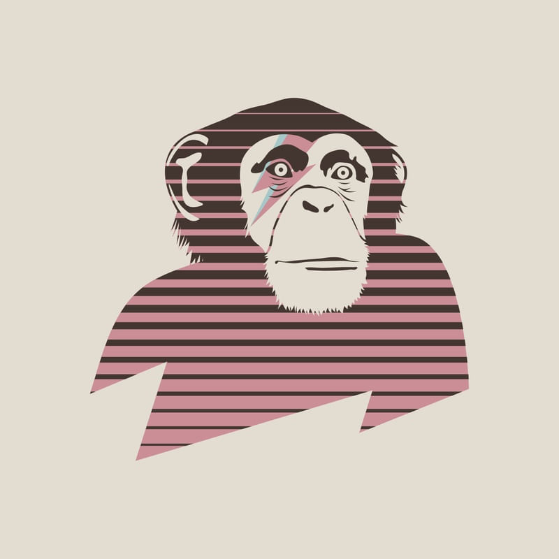 CHIMP