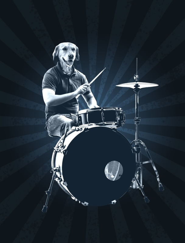ANIMAL ROCKER II