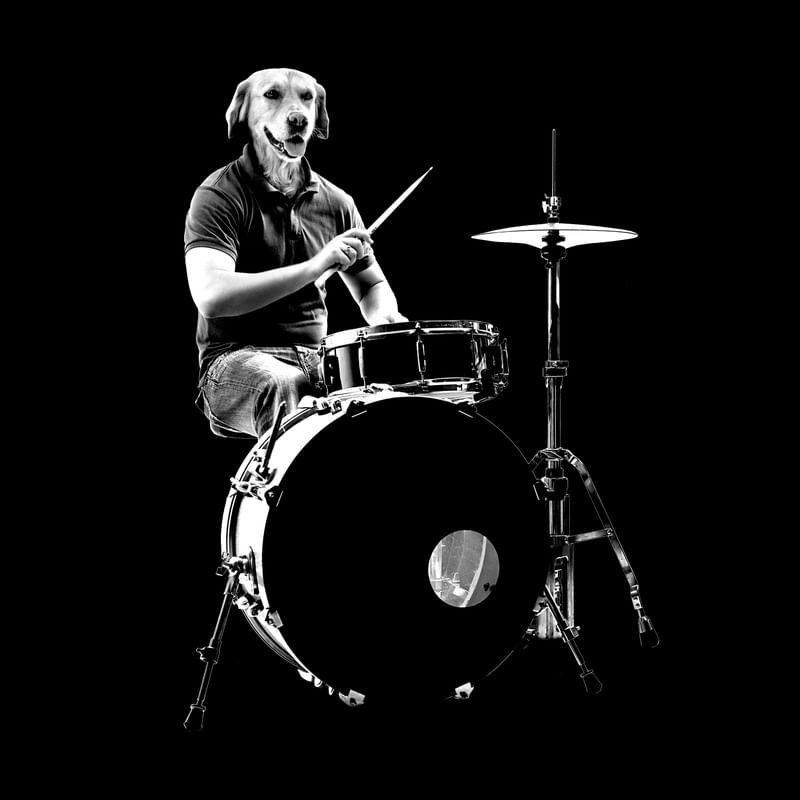 ANIMAL ROCKER IV
