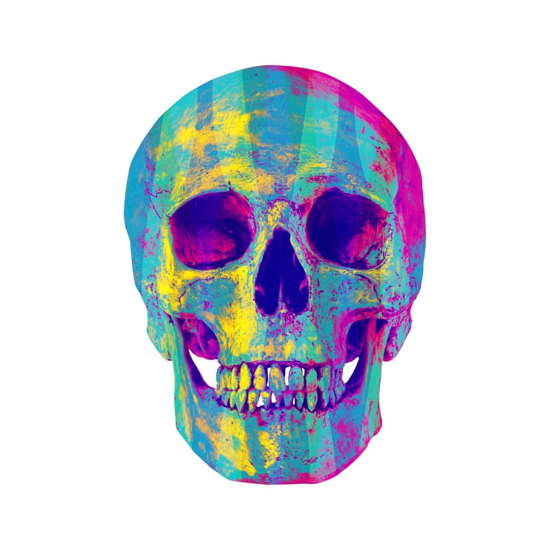 SKULL ART VII
