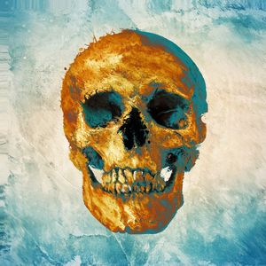SKULL ART VIII