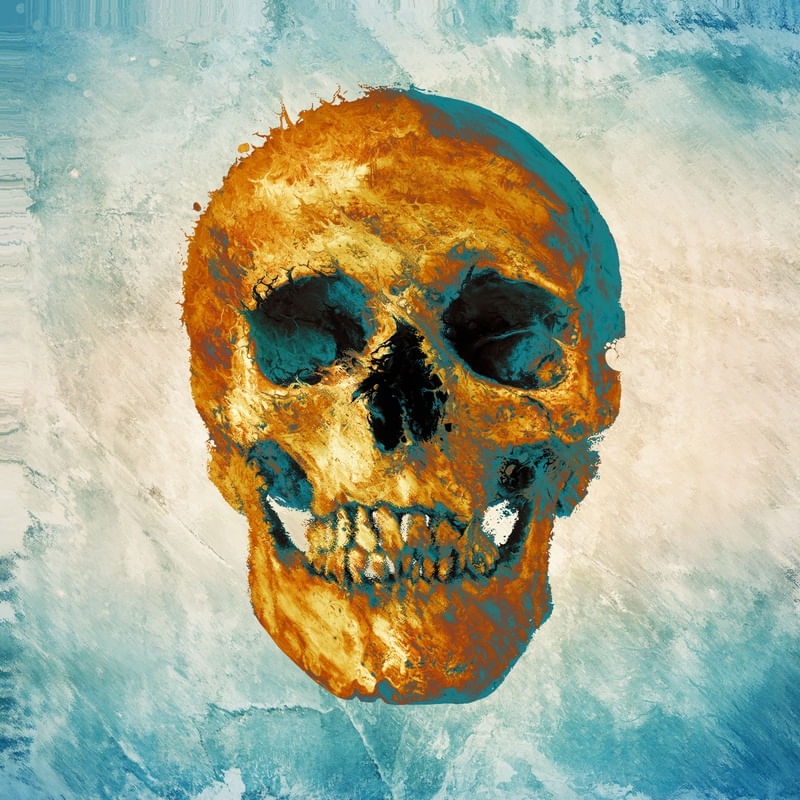 SKULL ART VIII
