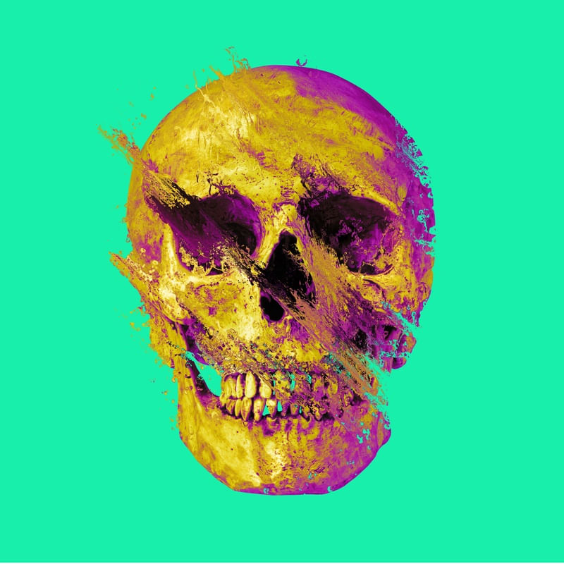 SKULL ART IX