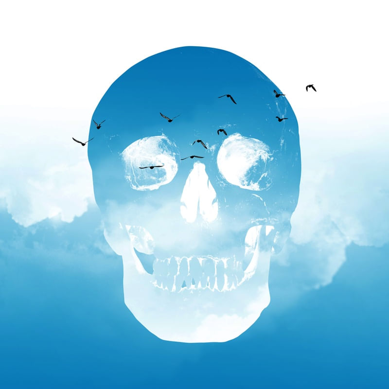 SKULL ART X