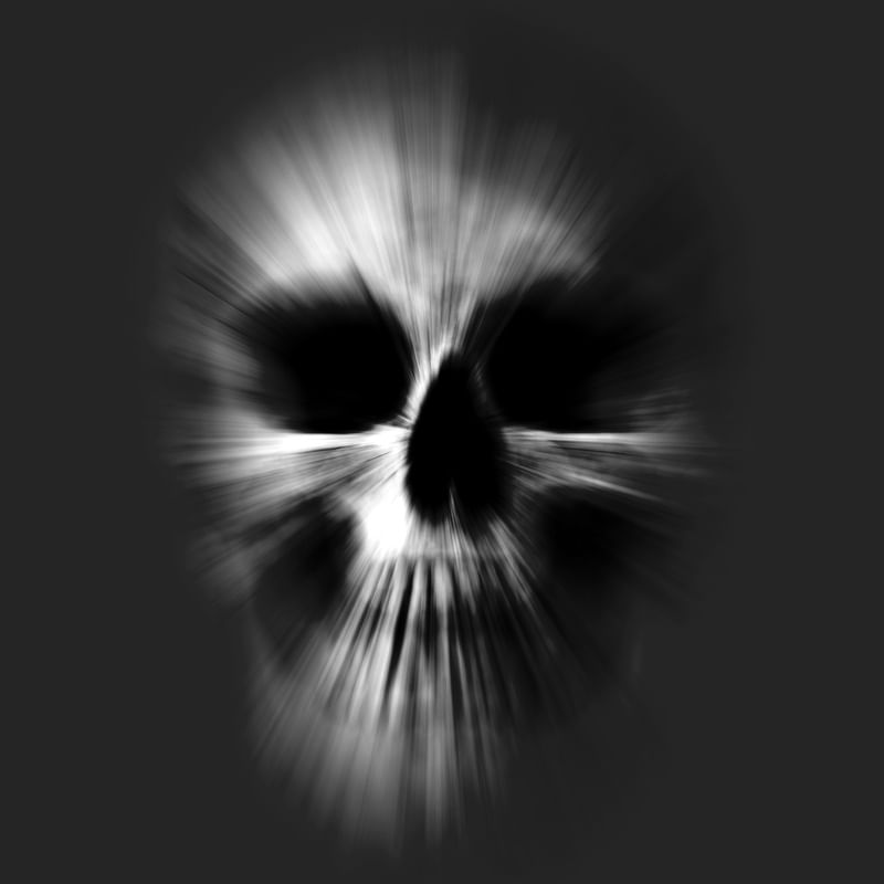 SKULL ART XII