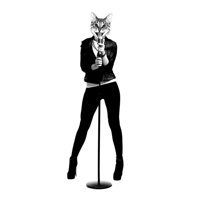 ANIMAL ROCKER VI