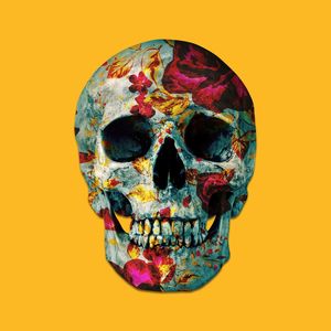 SKULL ART XIV