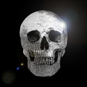 SKULL ART XIII