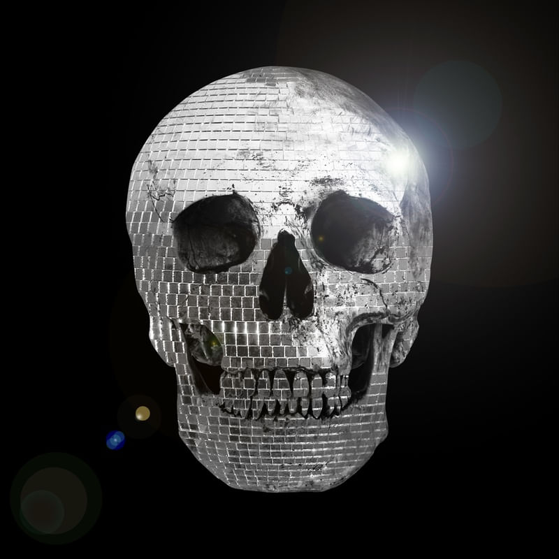 SKULL ART XIII