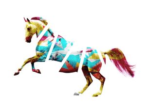 HORSE IN PIECES II