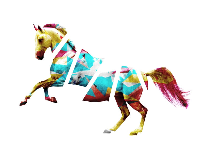 HORSE IN PIECES II