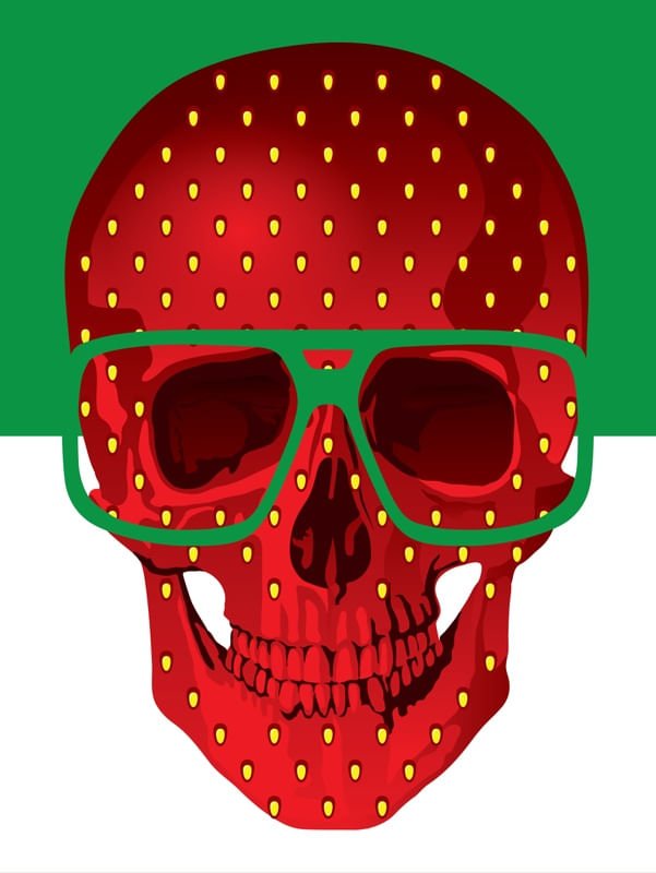 SKULL ART XVII