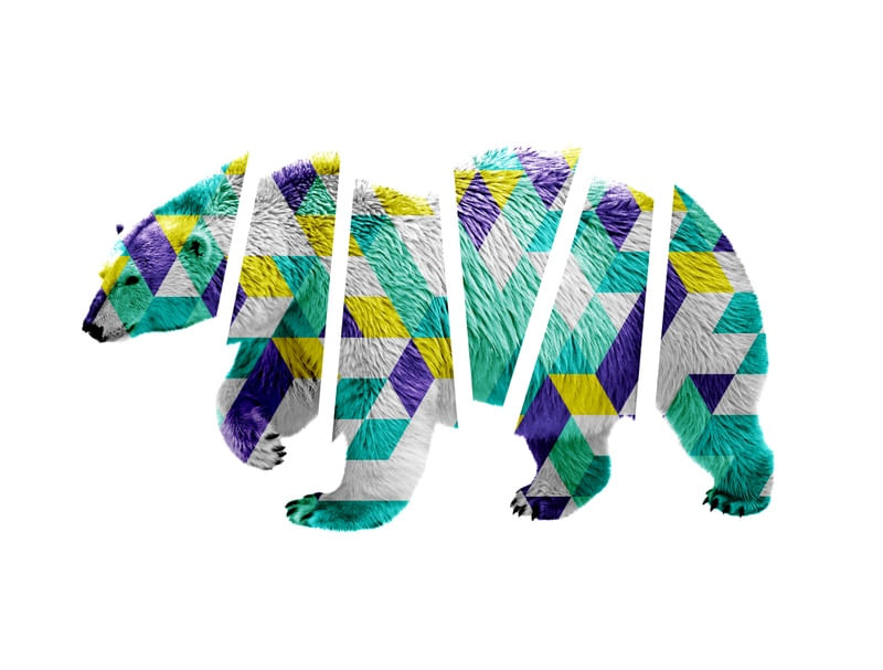 BEAR IN PIECES I