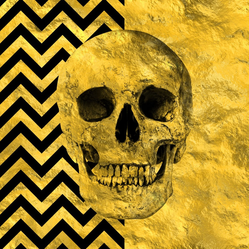 SKULL ART XXII