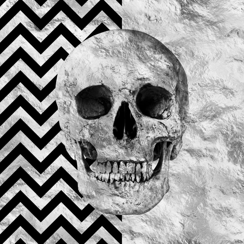 SKULL ART XXIII