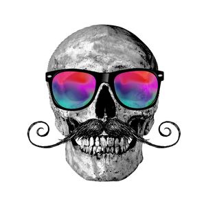 SKULL ART XXIV